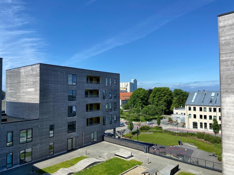 Utsikt fra inngangsparti.